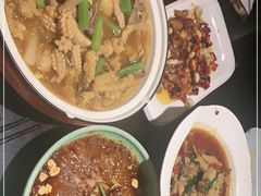 -陈麻婆豆腐总店