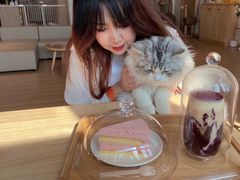 -猫腻·猫咖·撸猫馆(星光大道店)