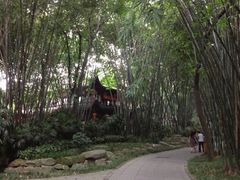 iphone_upload_pic-望江楼公园