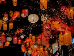 -龙湖星悦荟(颐和店)