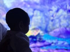 -太平洋海底世界