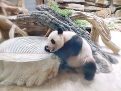 -常州淹城野生动物世界