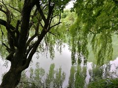 -贵阳市花溪国家城市湿地公园