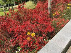 -广州市白云山风景名胜区
