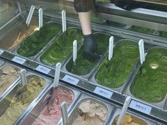 -鹤茶野所(上海首店)
