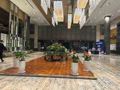 -徐州博顿温德姆酒店(高铁东站店)