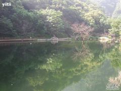 -少华山国家森林公园