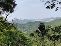 -广州市白云山风景名胜区