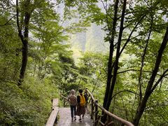 -鹿院坪生态旅游景区