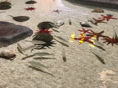 -福州罗源湾海洋世界旅游区