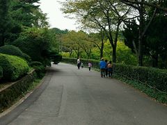 -汉拿树木园