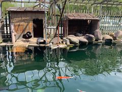 -湖鲜楼