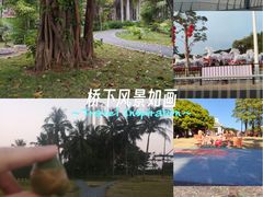 -华侨公园