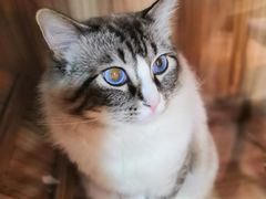 -白兔子密室(长寿路店)