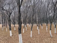 -长春世界雕塑园冰雪艺术天地