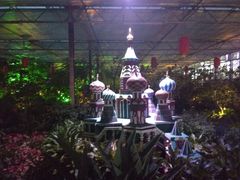 景点-南宫五洲植物乐园