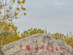 -上海海湾国家森林公园