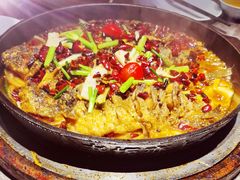 -老板恋上鱼(恒隆广场店)