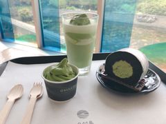 -雪绿茶博物馆