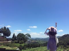 -磐安舞龙峡景区