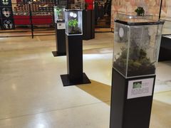 -燕莎友谊商城(亮马桥店)