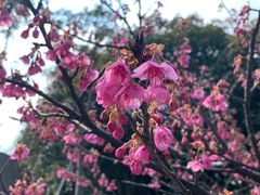 -东方绿舟景区