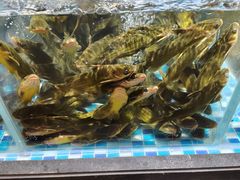 -湘阁里辣(沙井华润万家店)
