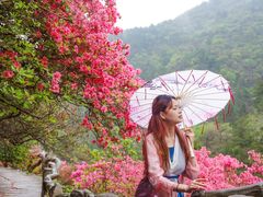 -木兰云雾山