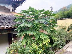 -南漈山