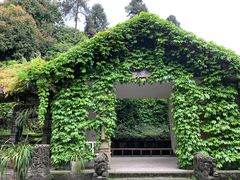 -南山植物园