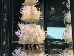 -BLACKSWAN黑天鹅(环球店)