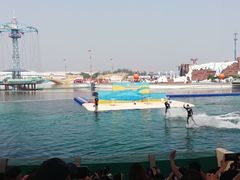 -秦皇岛乐岛海洋王国