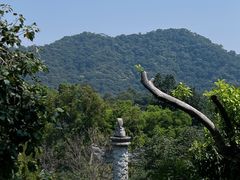 -鼎湖山风景区