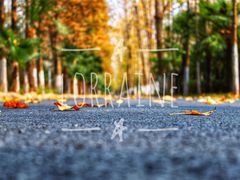 -合肥滨湖国家森林公园