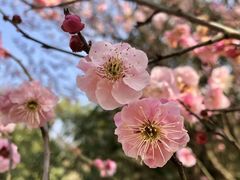 -南山风景名胜区
