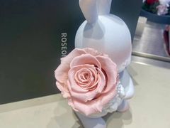 -ROSEONLY诺誓(青岛万象城店)