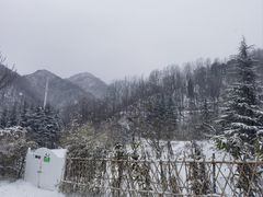 -西安祥峪森林公园