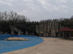 -金孔雀温泉旅游度假村