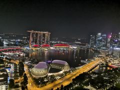 -新加坡瑞士史丹福酒店