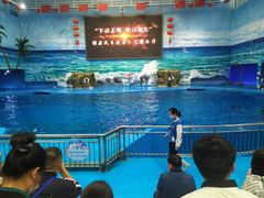 -多彩贵州城极地海洋世界