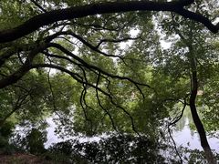 -太子山公园(园东路)