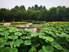 -洛阳市隋唐城遗址植物园