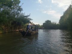 -溱湖国家湿地公园