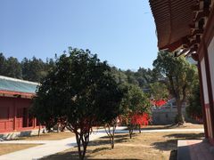 -莆田南少林寺