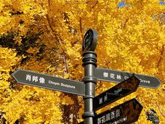 -中山公园