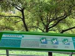 -西湖风景区-江洋畈生态公园