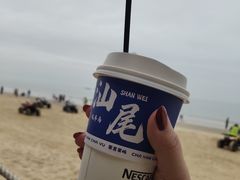 -汕尾风车岛