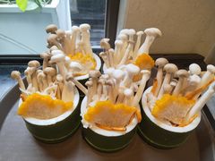 -诺筵汤品·菌汤火锅(南河坝店)