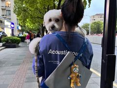 -PETKIT小佩宠物(古北店)