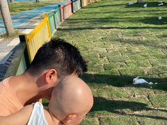 -合肥滨湖国家森林公园